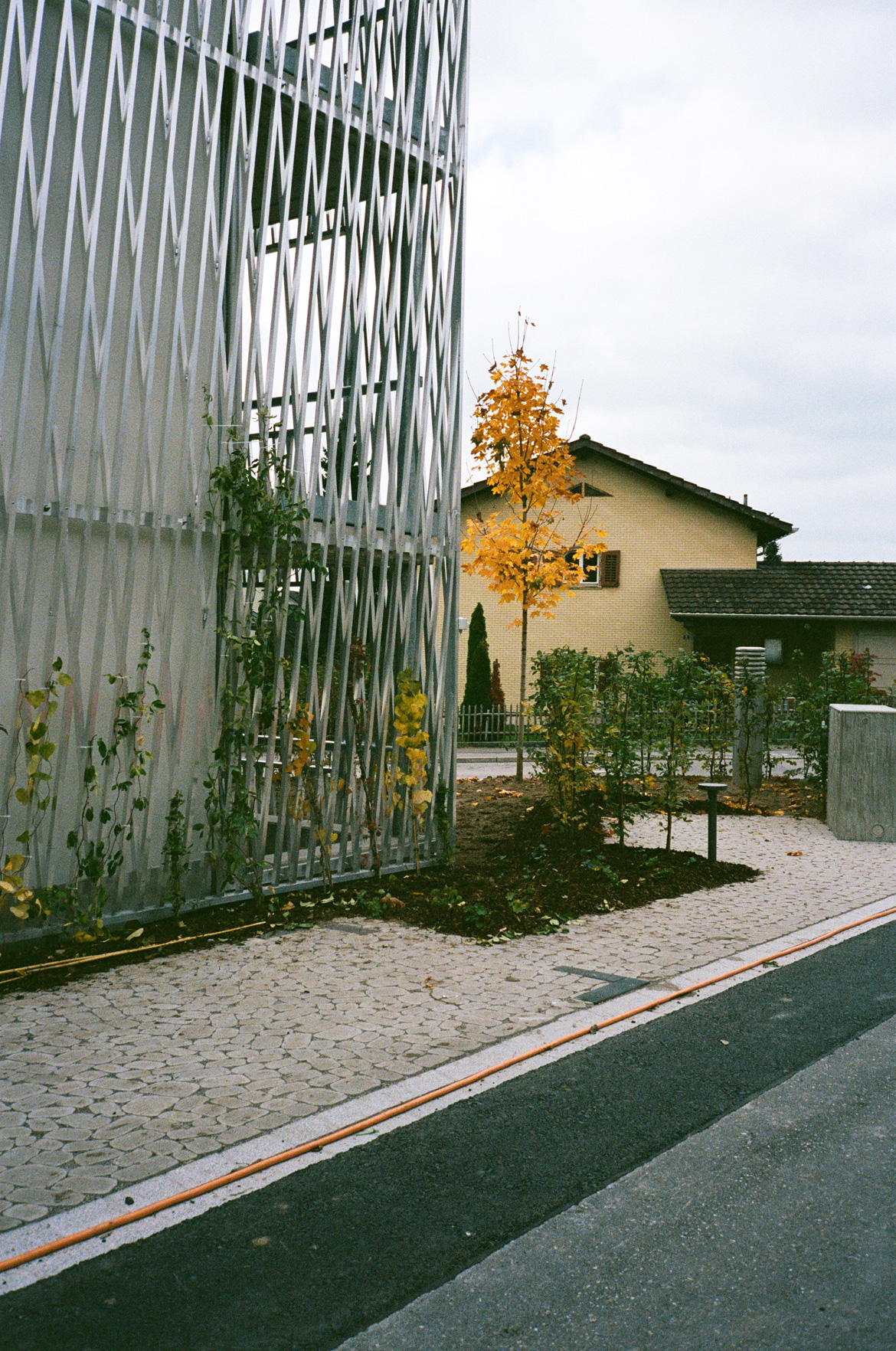 034 IM GARTEN ZU HAUSE: Wettbewerb, 1. Preis